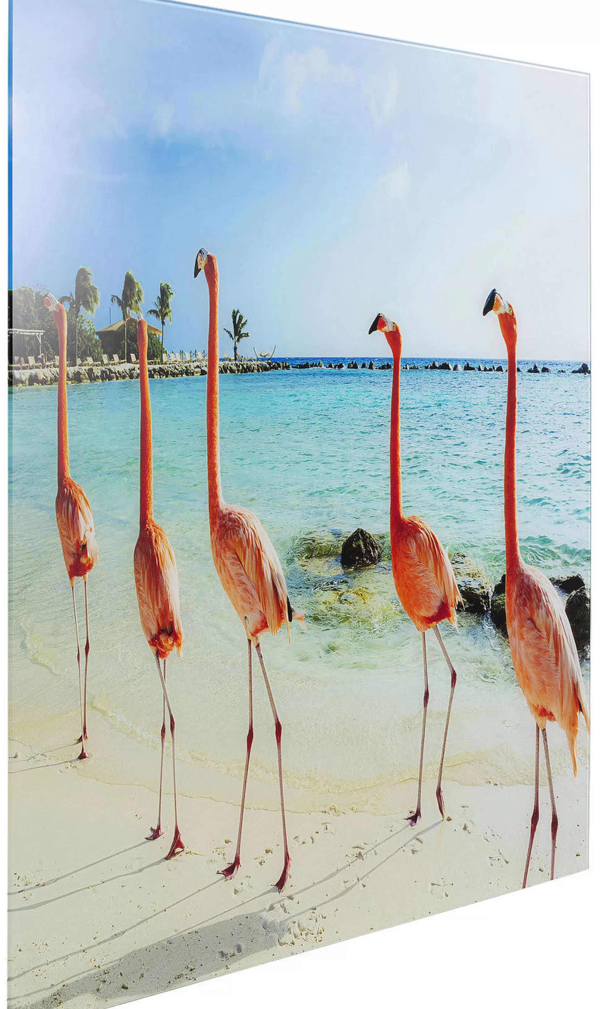 Discount Glasschilderij Flamingos Walk 80X80Cm Schilderijen