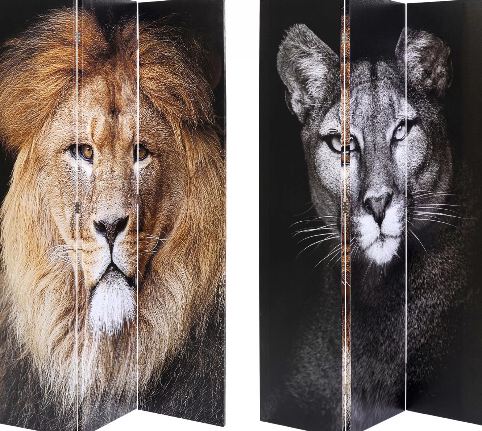 Clearance Kamerscherm Lion Vs. Cat Girl 120X180Cm Kamerschermen