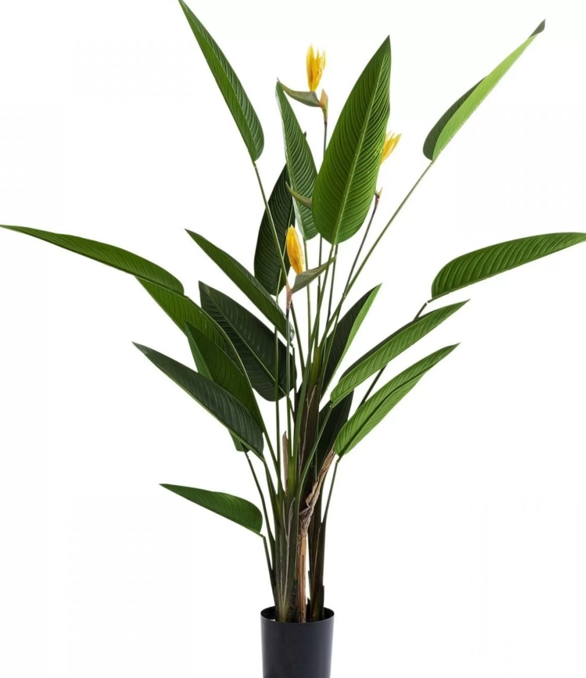 Cheap Kunstplant Paradise Flowers 190Cm Decoratieve Planten