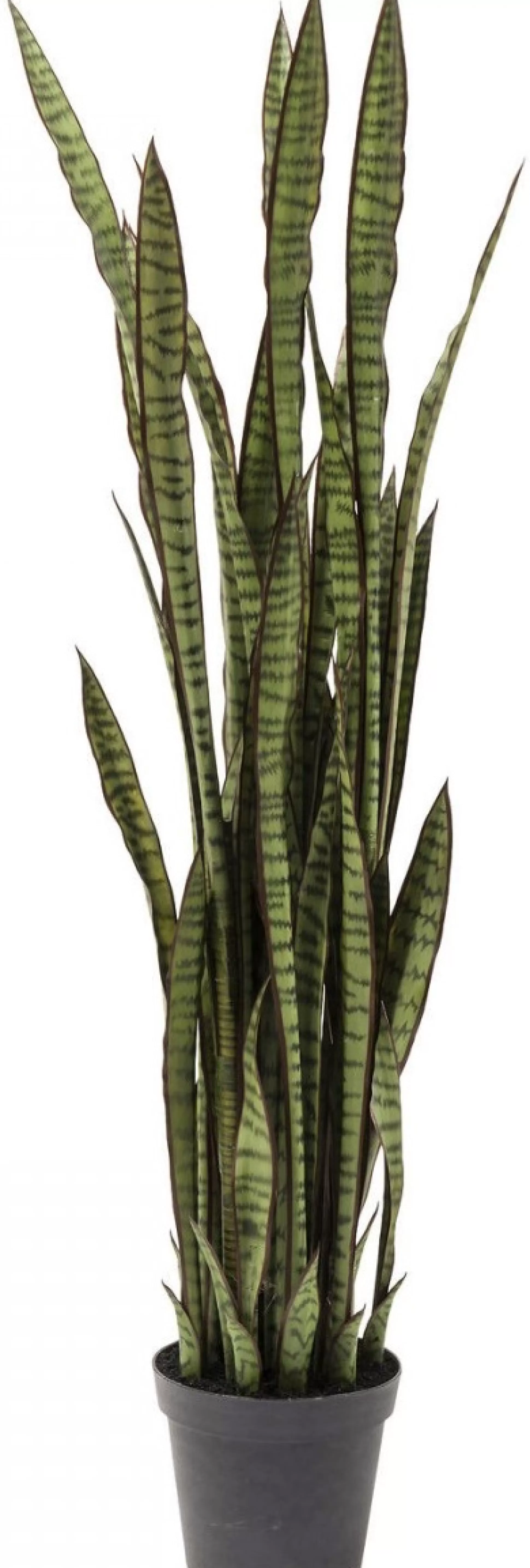 Cheap Kunstplant Sansevieria 155Cm Decoratieve Planten