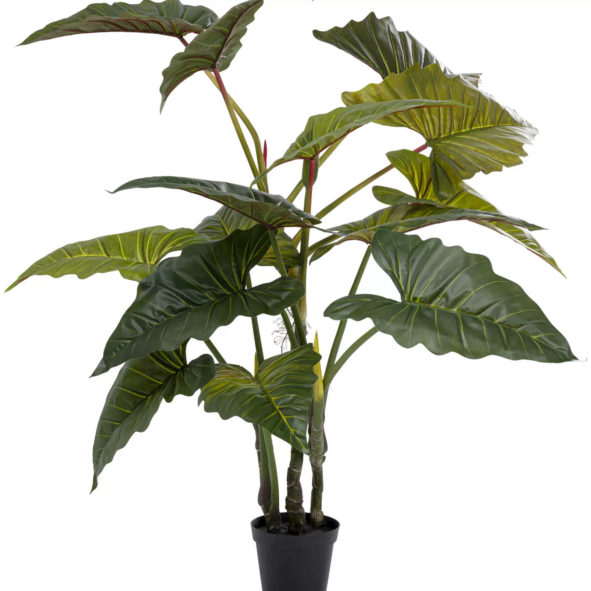 Best Kunstplant Taro 180Cm Decoratieve Planten