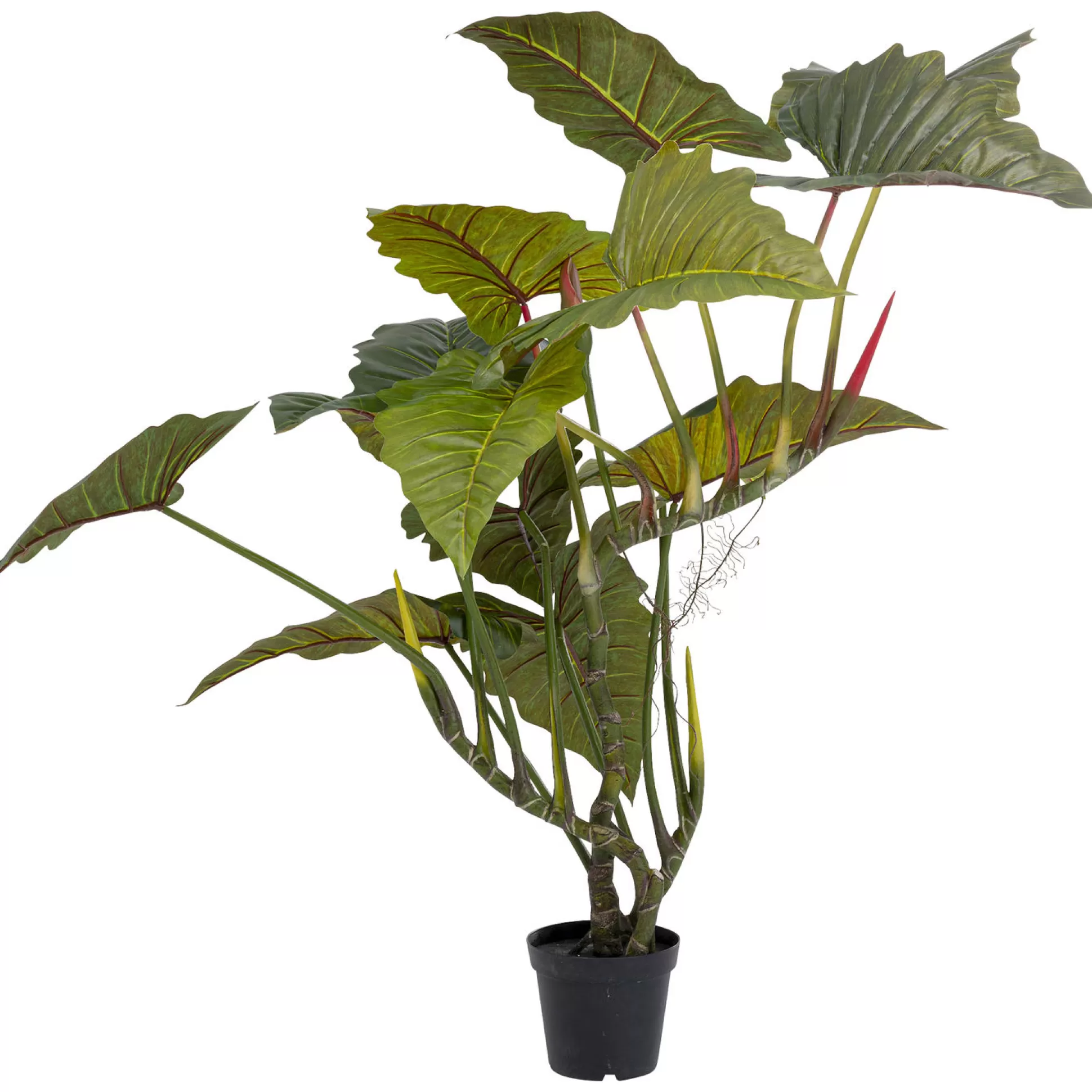 Best Kunstplant Taro 180Cm Decoratieve Planten