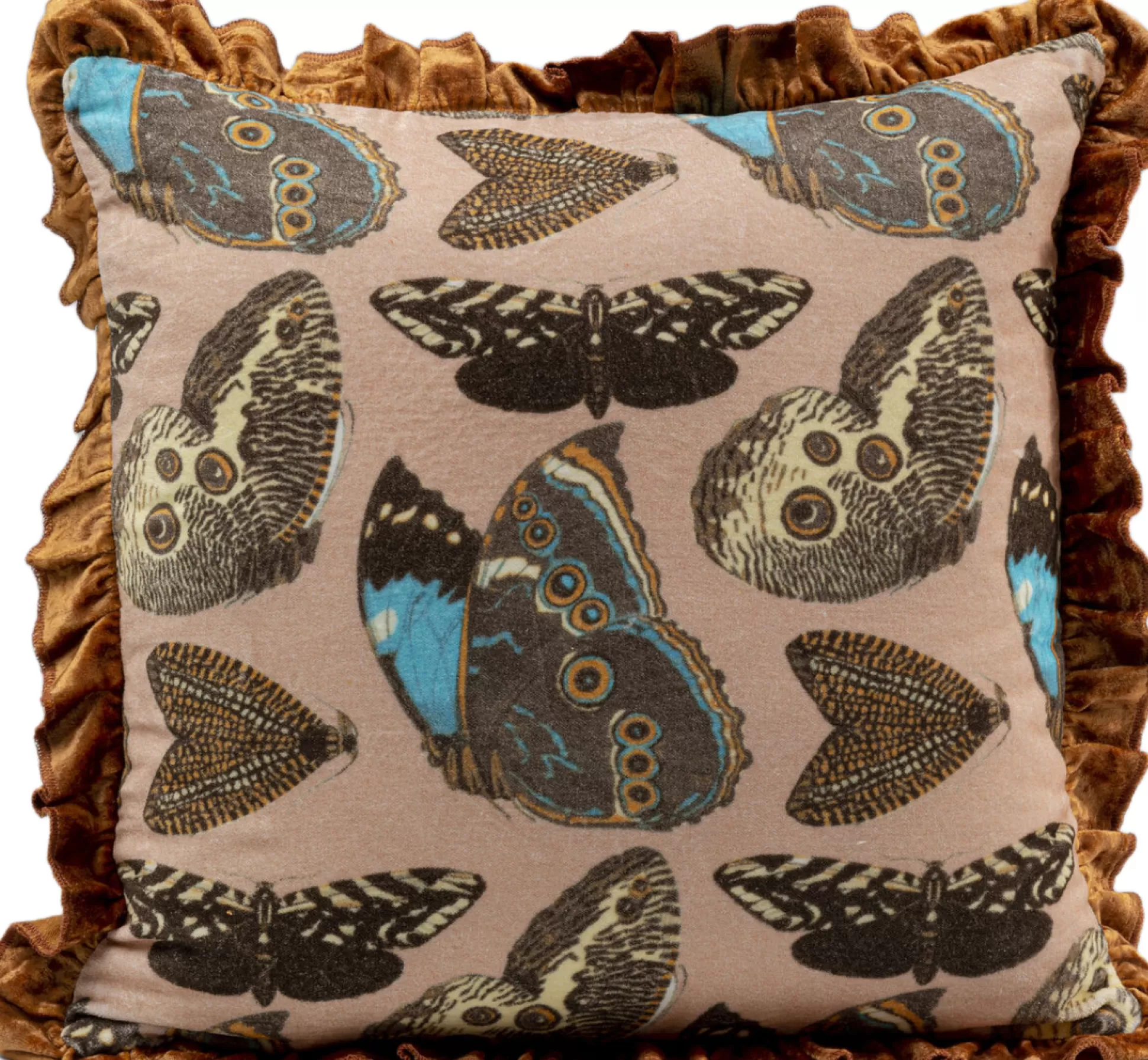 Online Kussen Butterfly Family 40X40Cm Kussens