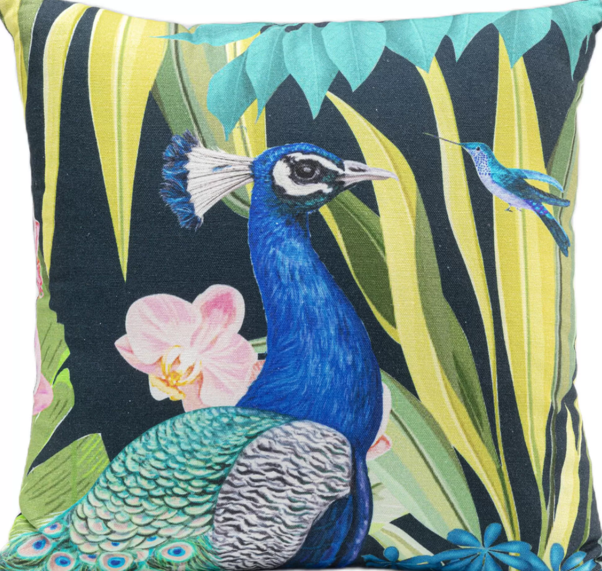 Flash Sale Kussen Floral Peacock 40X40Cm Kussens