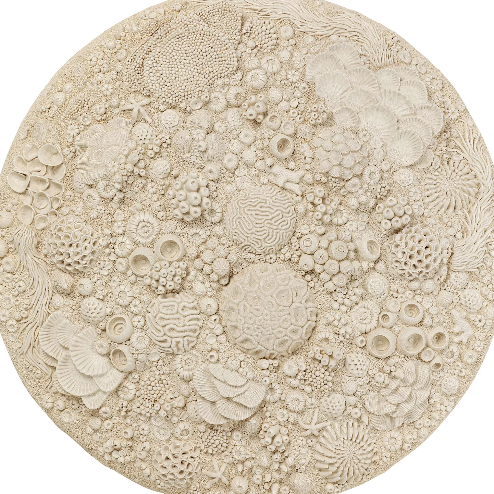 Best Wanddecoratie Coral Reef O123Cm Wanddecoraties