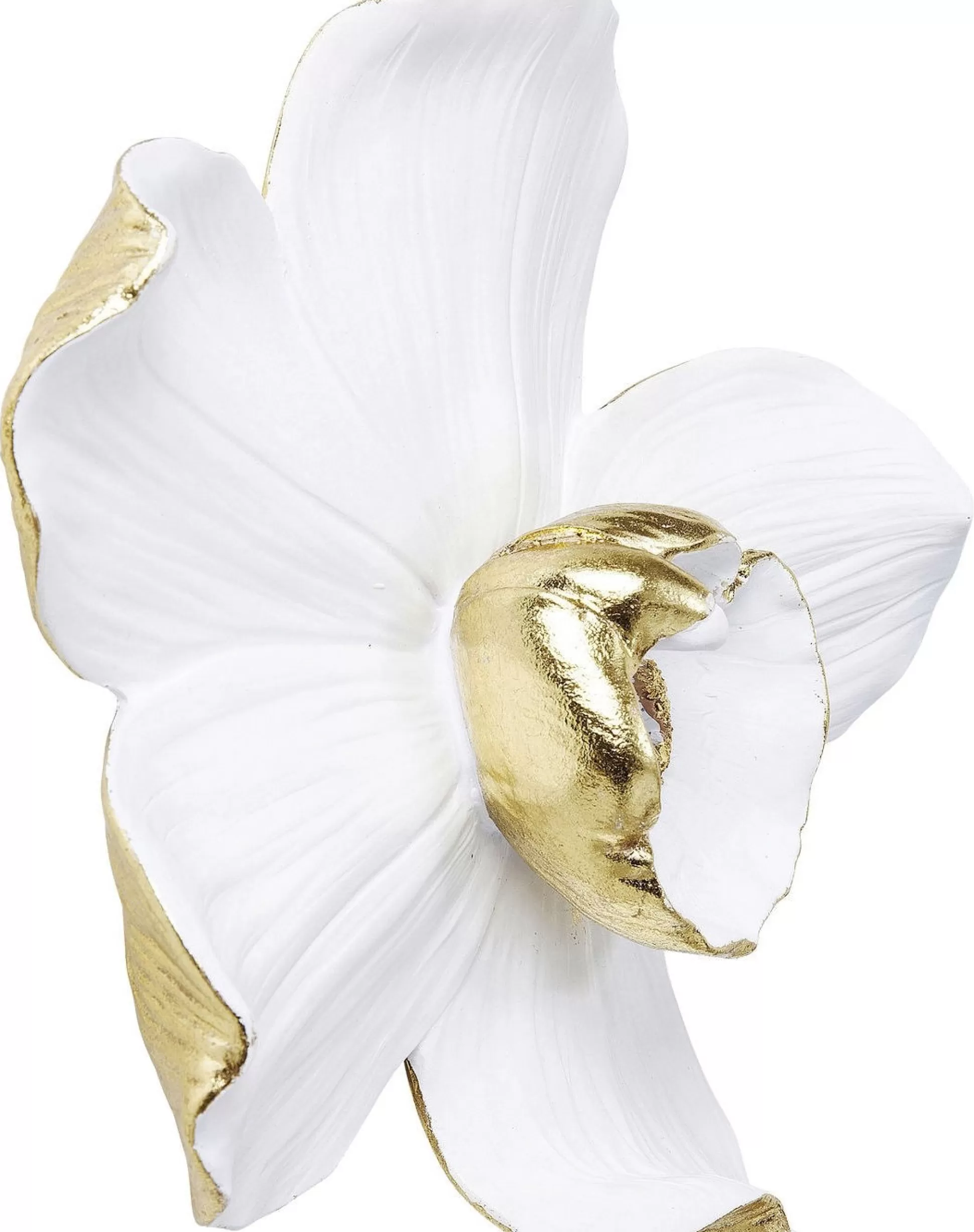 Clearance Wanddecoratie Orchid Wit 25Cm Wanddecoraties