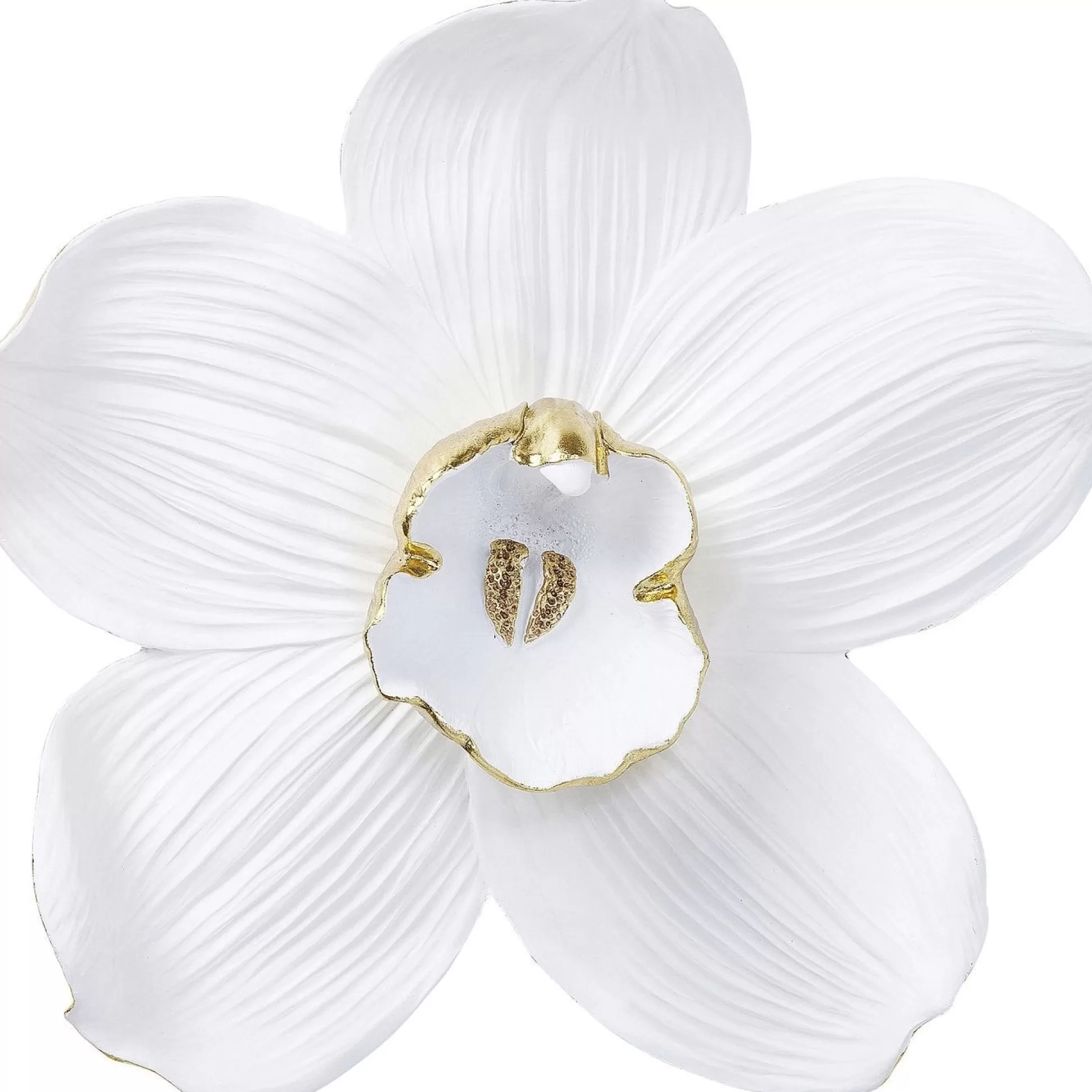 Best Wanddecoratie Orchid Wit 54Cm Wanddecoraties