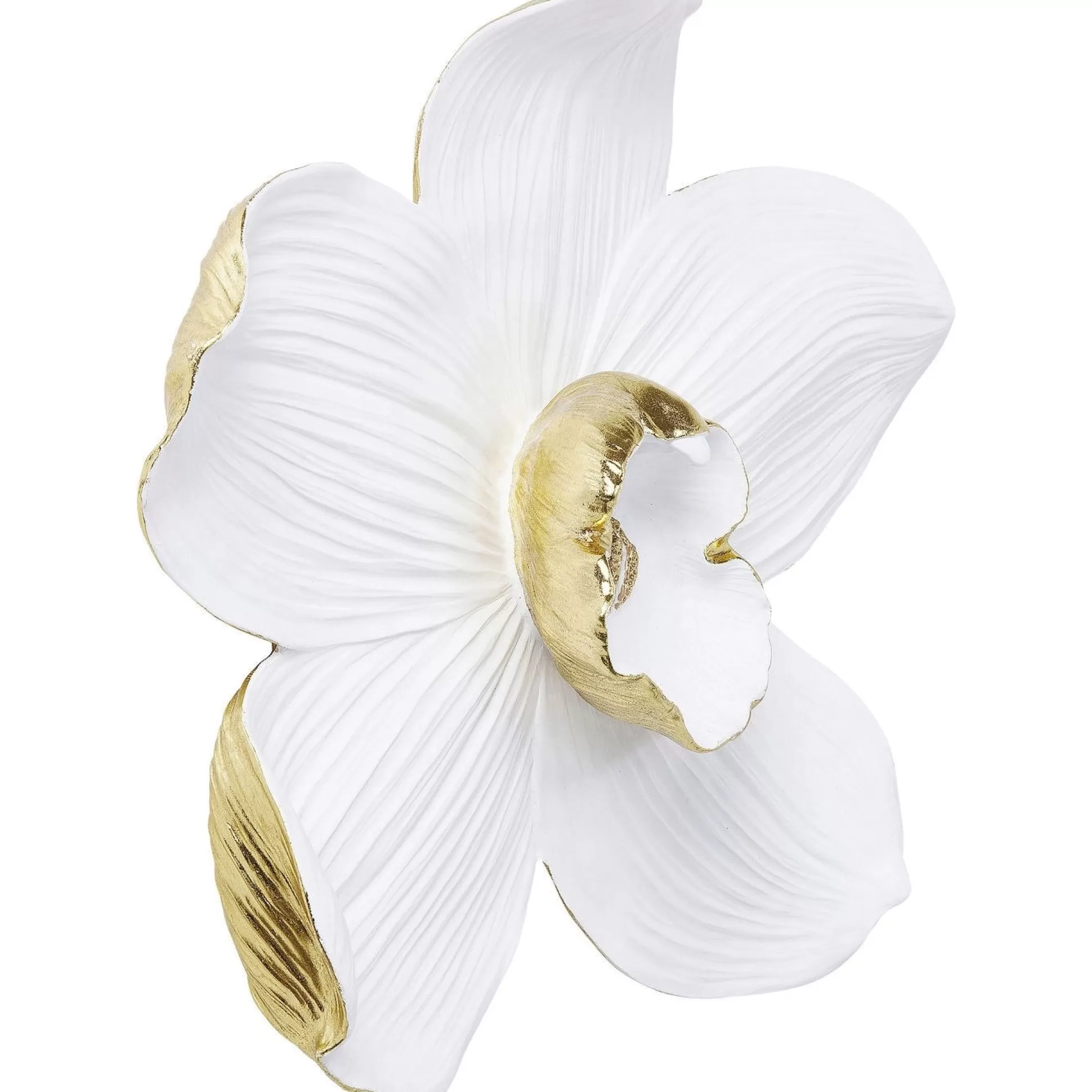 Best Wanddecoratie Orchid Wit 54Cm Wanddecoraties