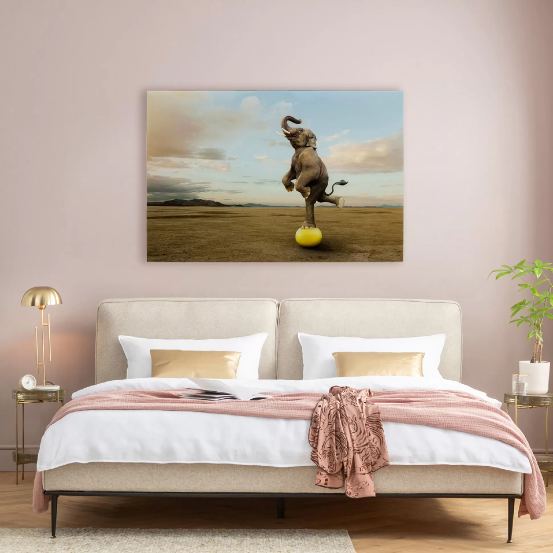 Discount Wandfoto Balance Elephant 150X100Cm Schilderijen